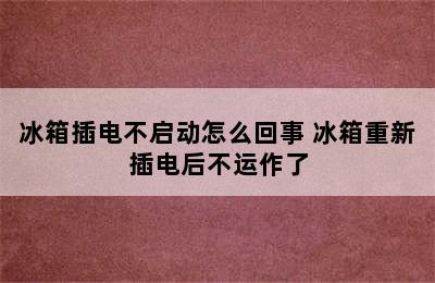 冰箱插电不启动怎么回事 冰箱重新插电后不运作了